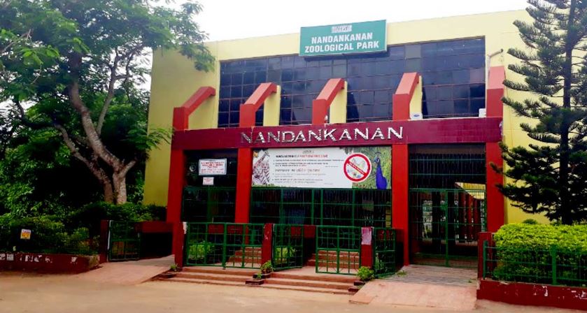 Nandankanan Zoo - Odisha