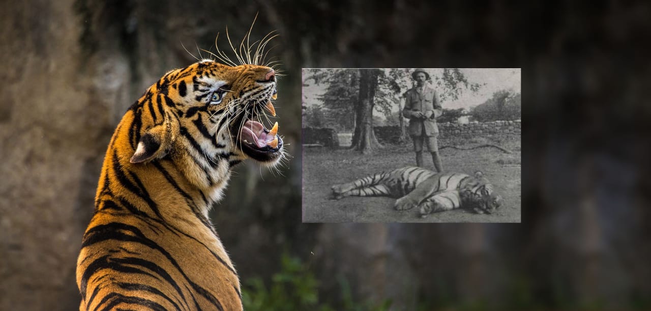 James Corbett was born on 25 July 1875, in the nainital district of Uttarakhanda. He was a well-known   hunter and killed 19 tigers and 14 leopards. He works as a Colonel in the British-Indian army and loves to kill wild animals.