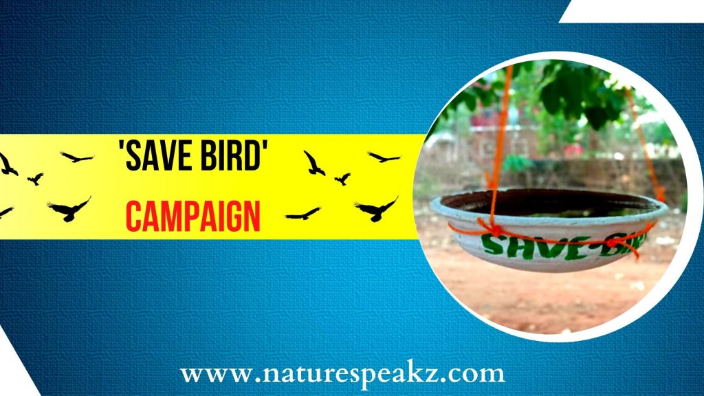 Save Birds Campaign