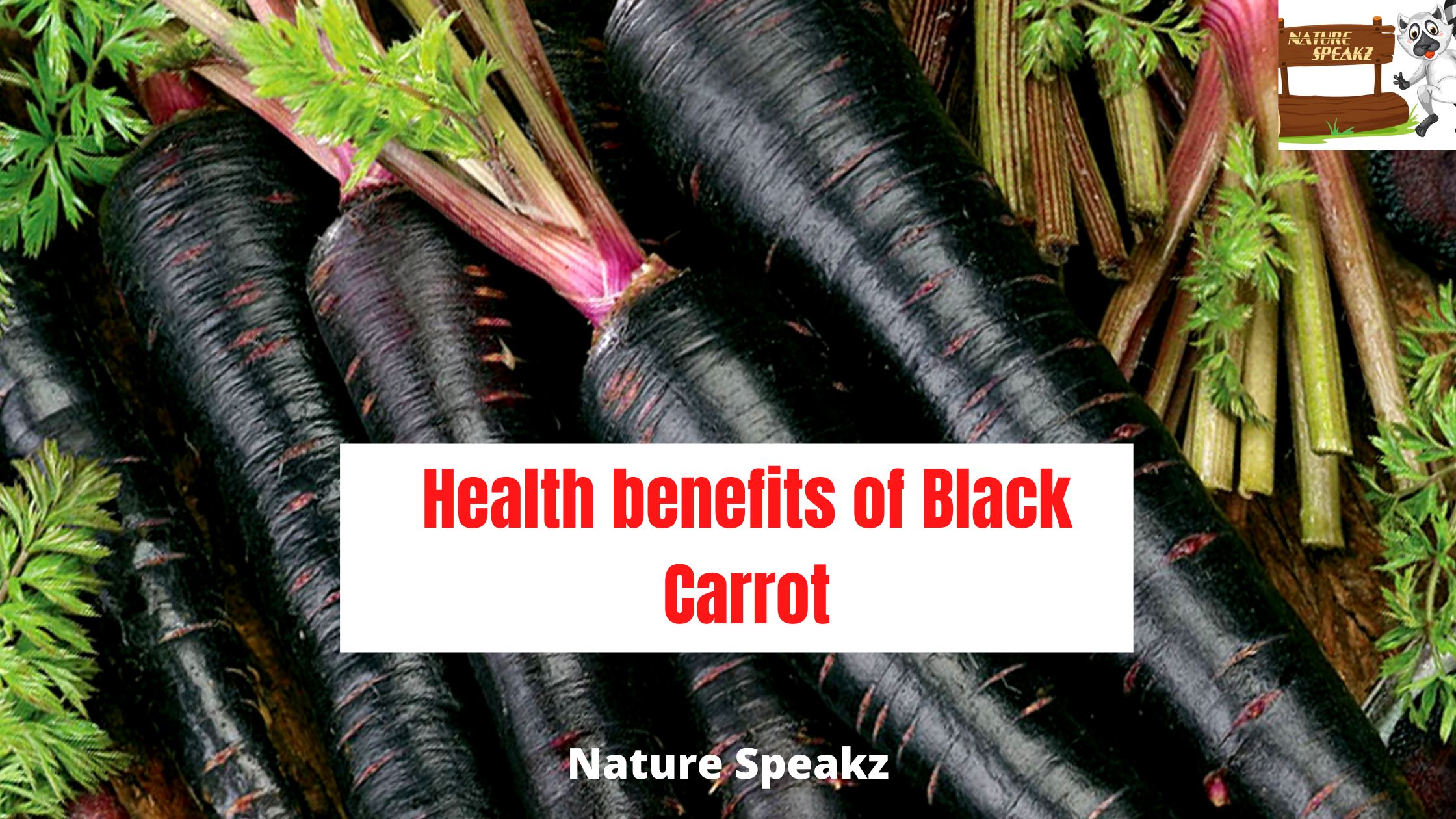 Health benefits of Black Carrot
