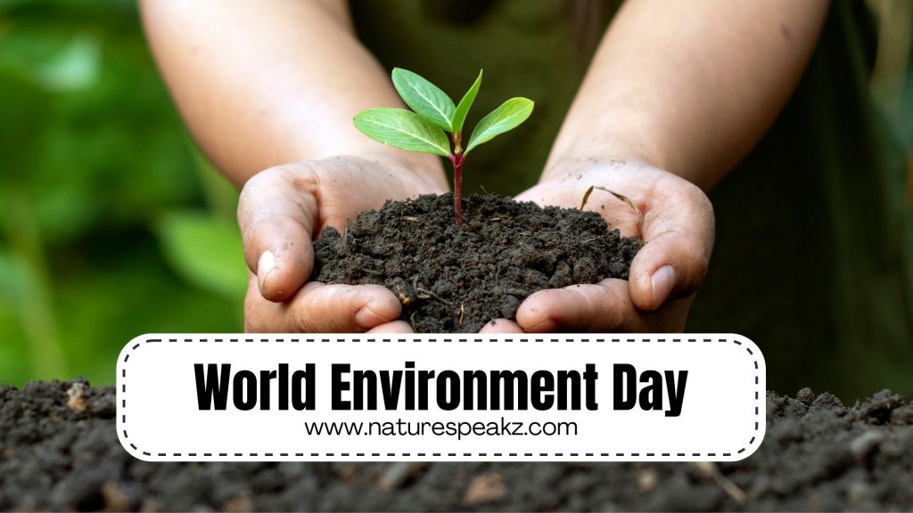 World Environment Day