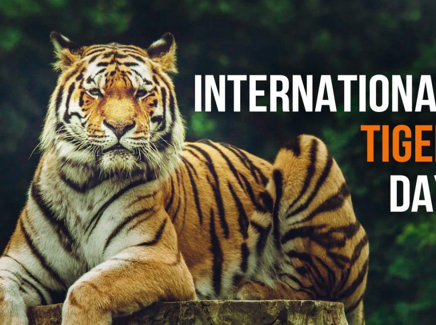 International Tiger Day 2022: Theme, History, Significance