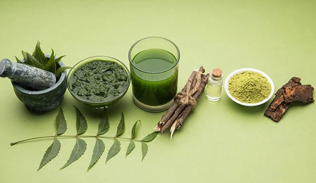 How to use neem leaves for hair loss