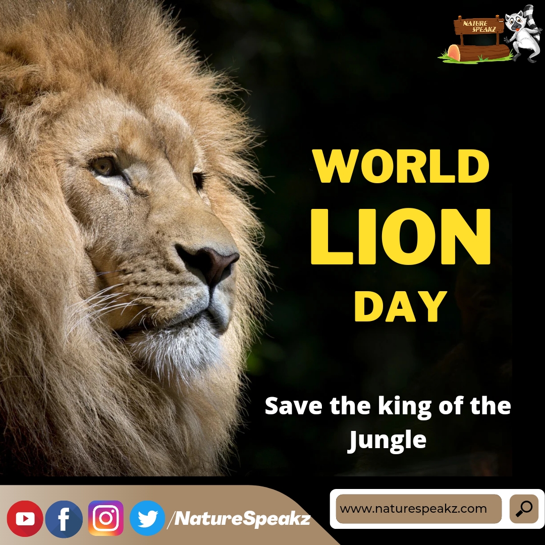 World Lion Day 2022: Date, history, significance
