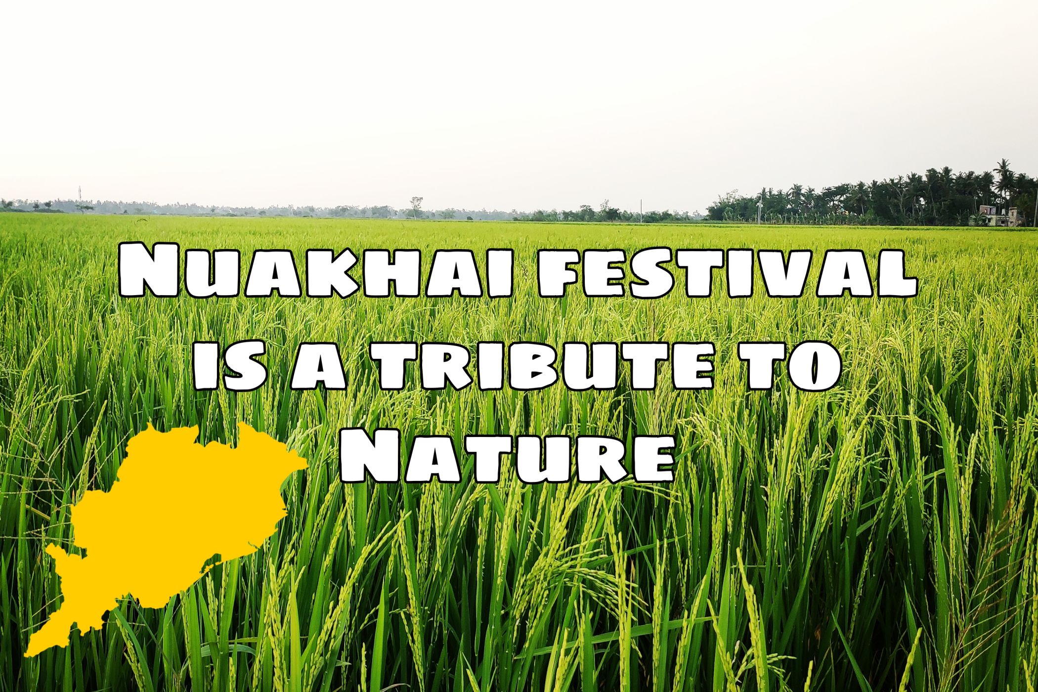 Nuakhai festival is a tribute to Nature 