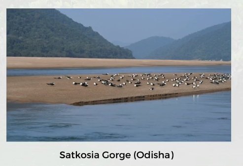 Satkosia Gorge of Odisha is now Ramsar site