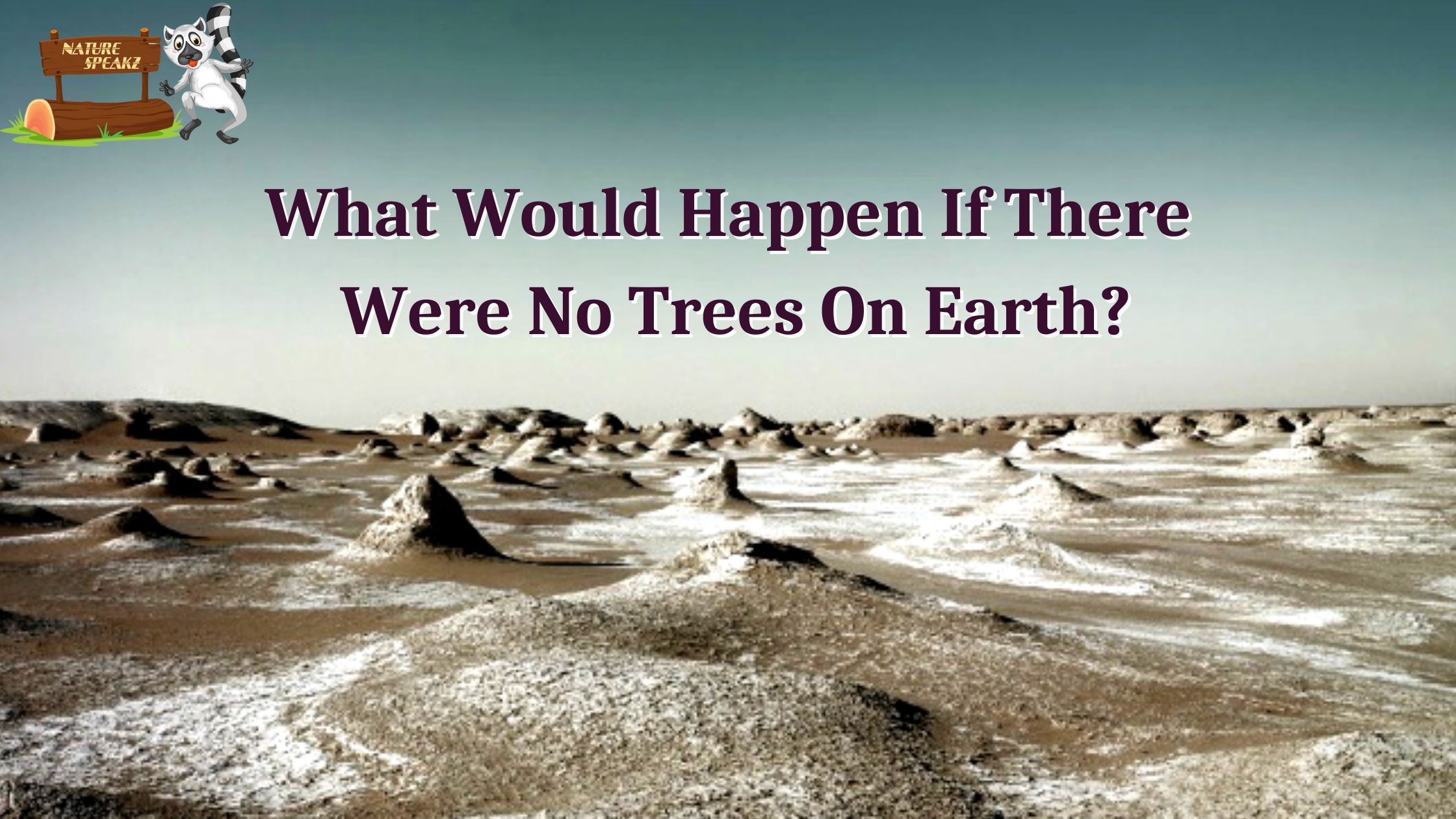 What Would Happen If There Were No Trees On Earth?