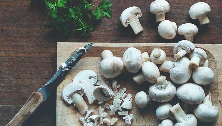 Top 10 Benefits of Mushroom