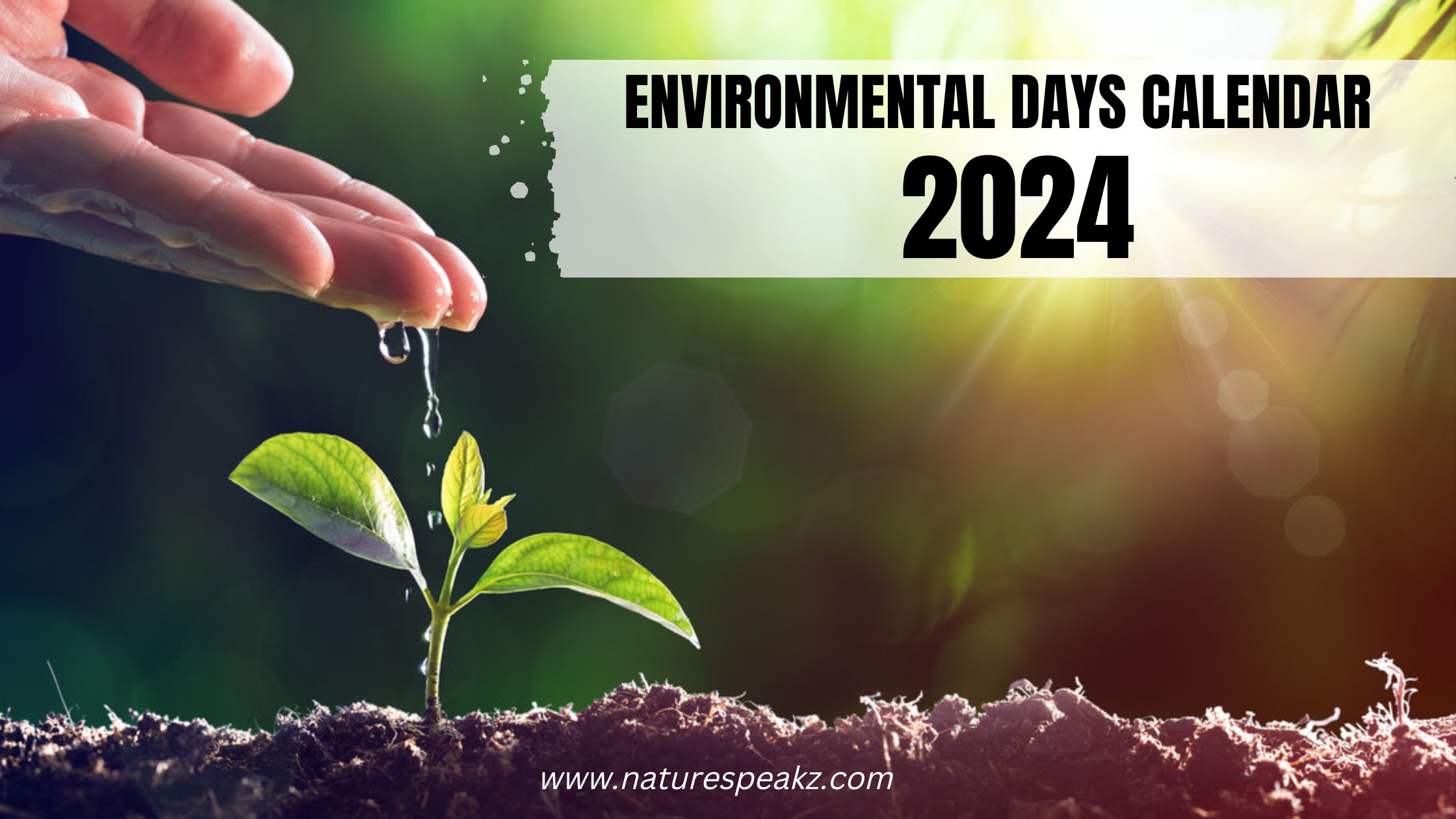 Environmental Days Calender-2024