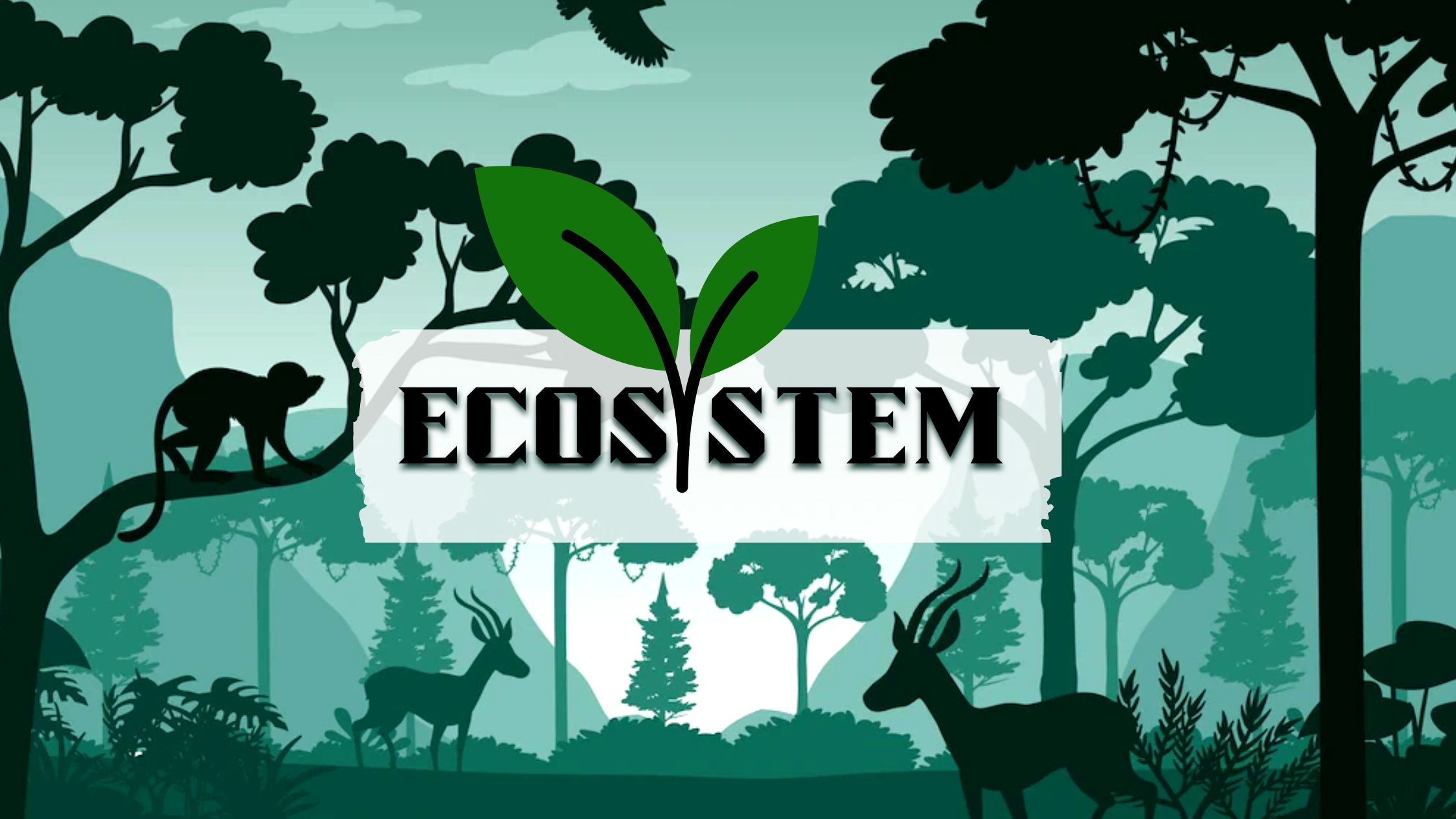 What is an Ecosystem and its importance?