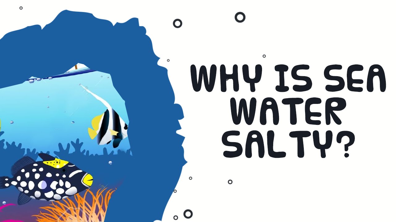 Why is the sea water salty?