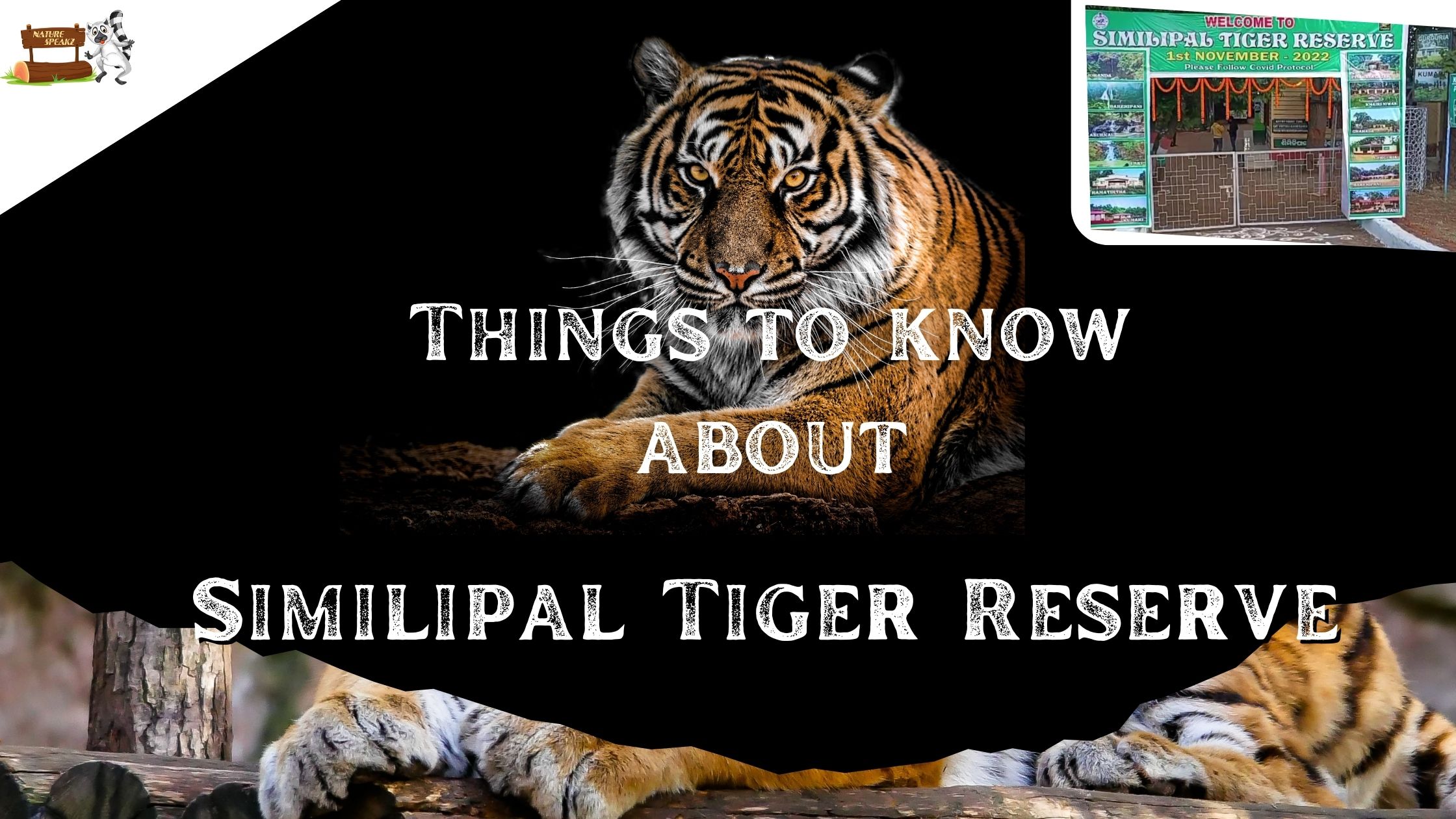 Things to know about Similipal Tiger Reserve
