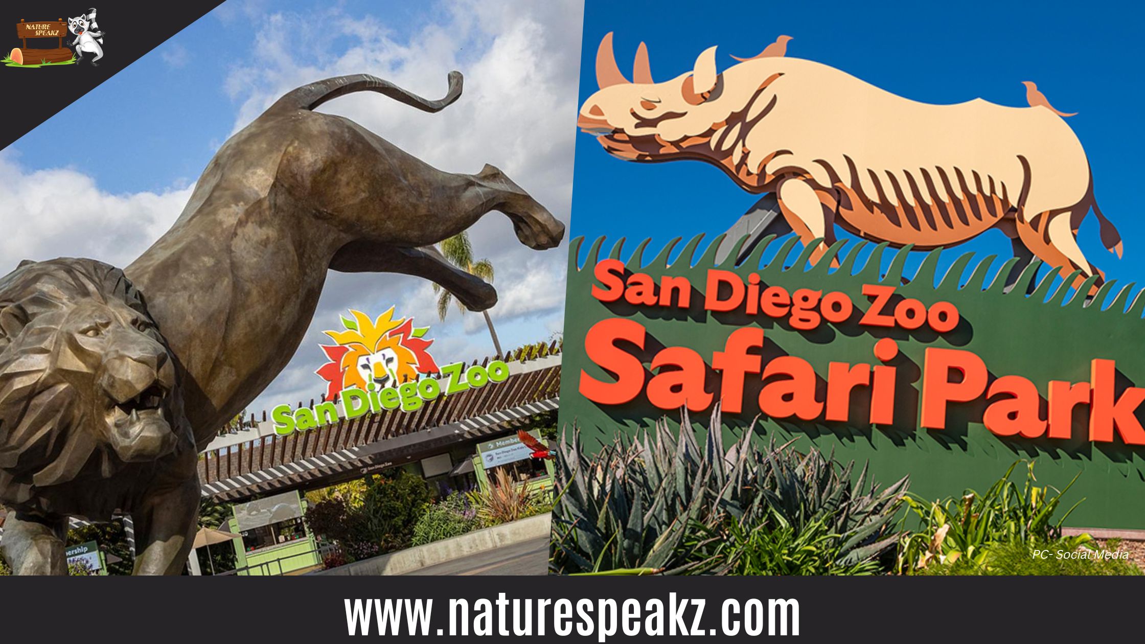 San Diego Zoo - USA