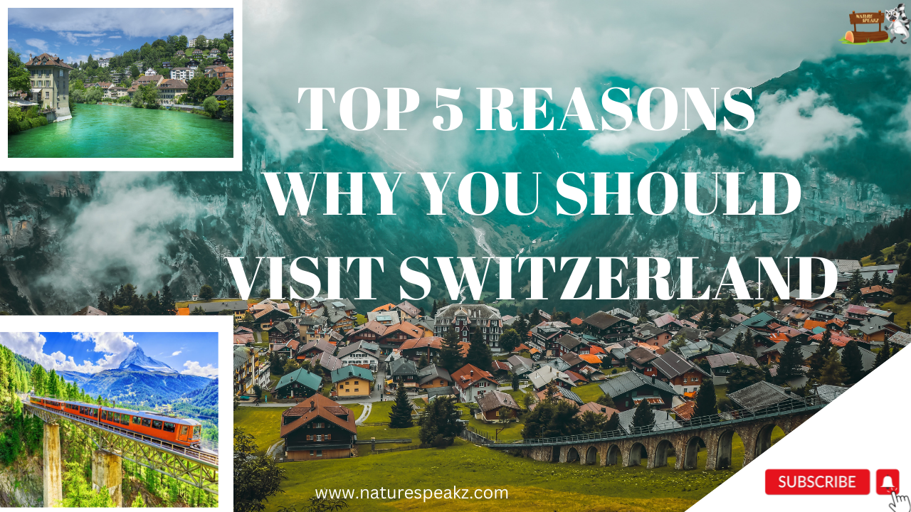 Top 5 Reasons Why You should visit Switzerland