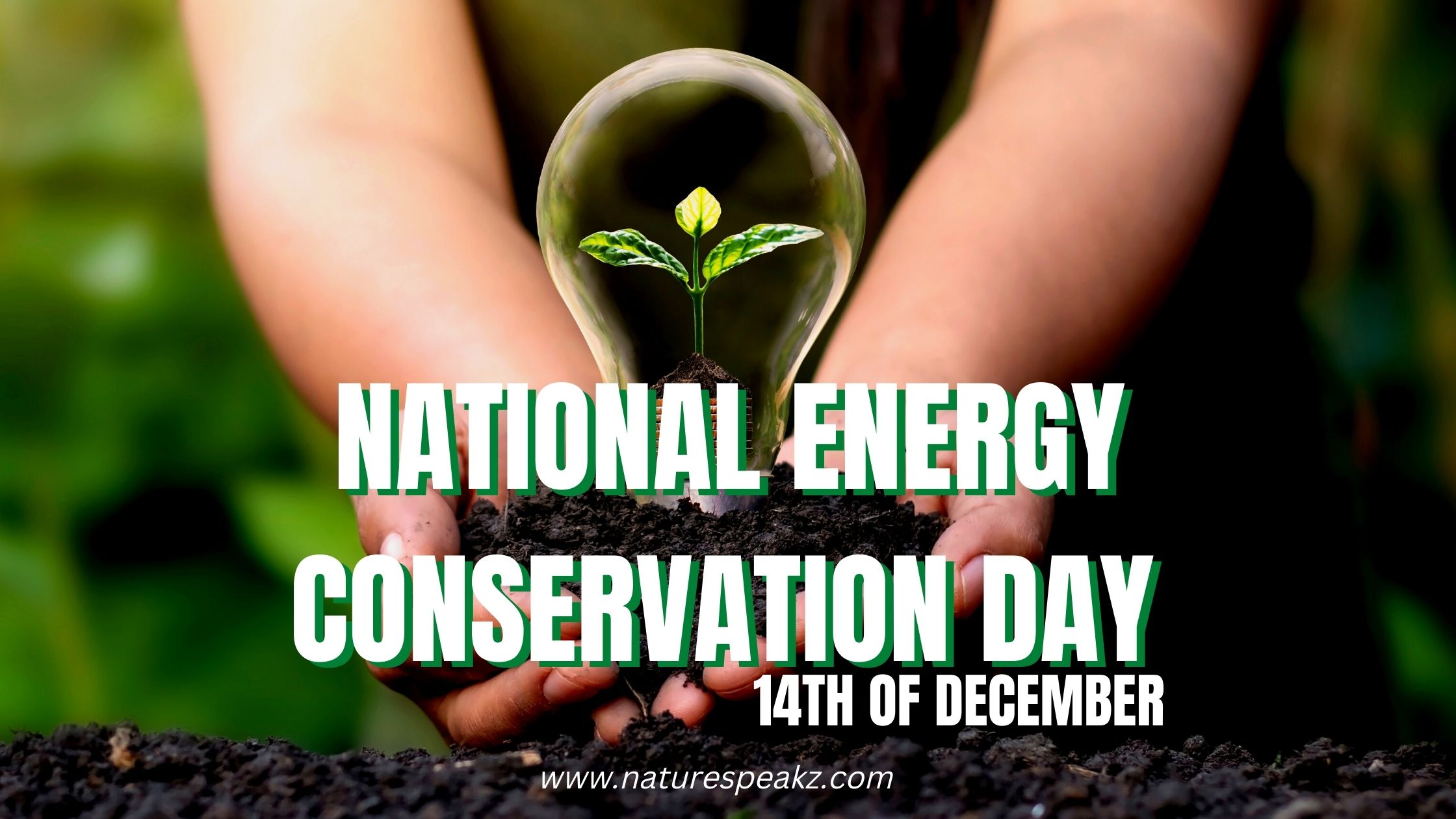 National Energy Conservation Day