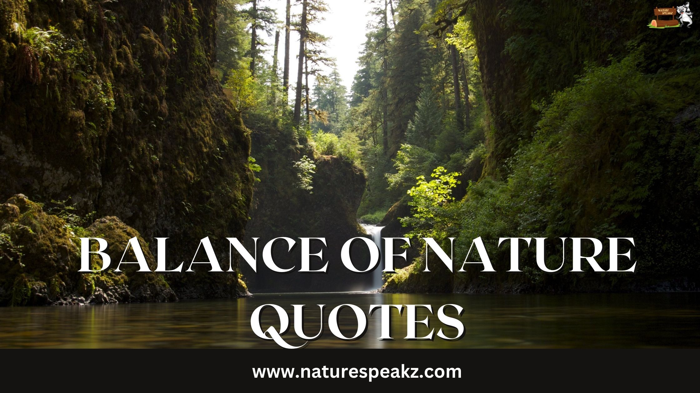 Balance Of Nature Quotes