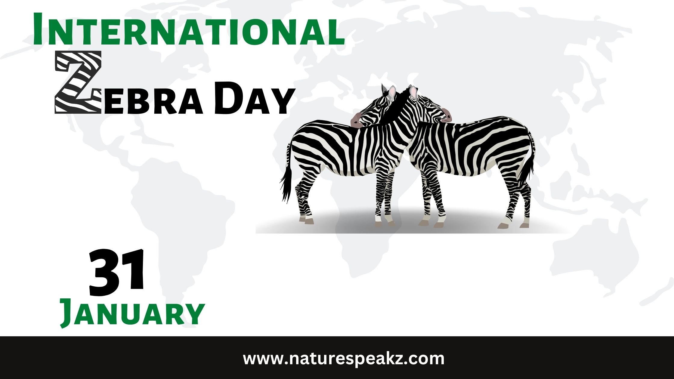 International Zebra Day