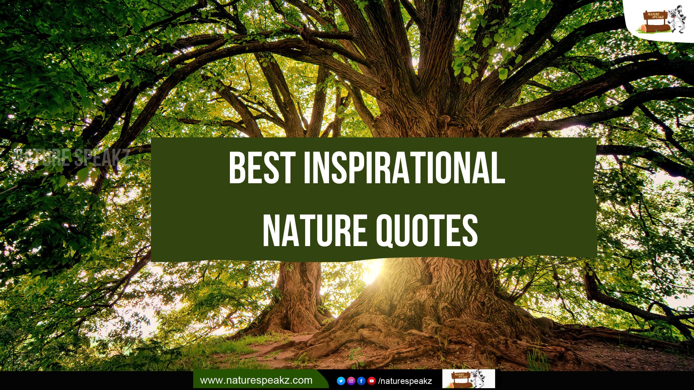 Best Inspirational Nature Quotes