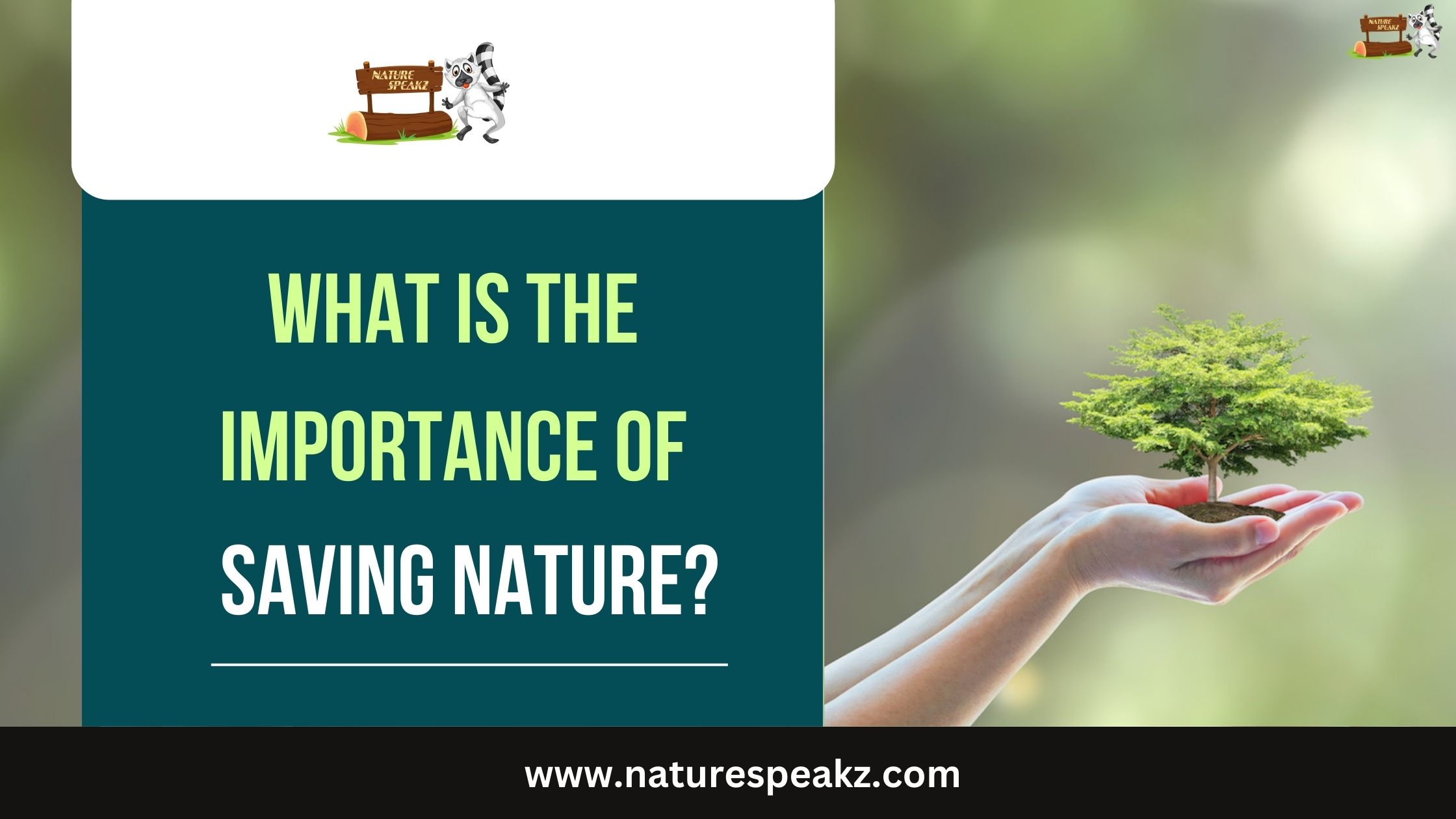 What is the importance of saving nature?