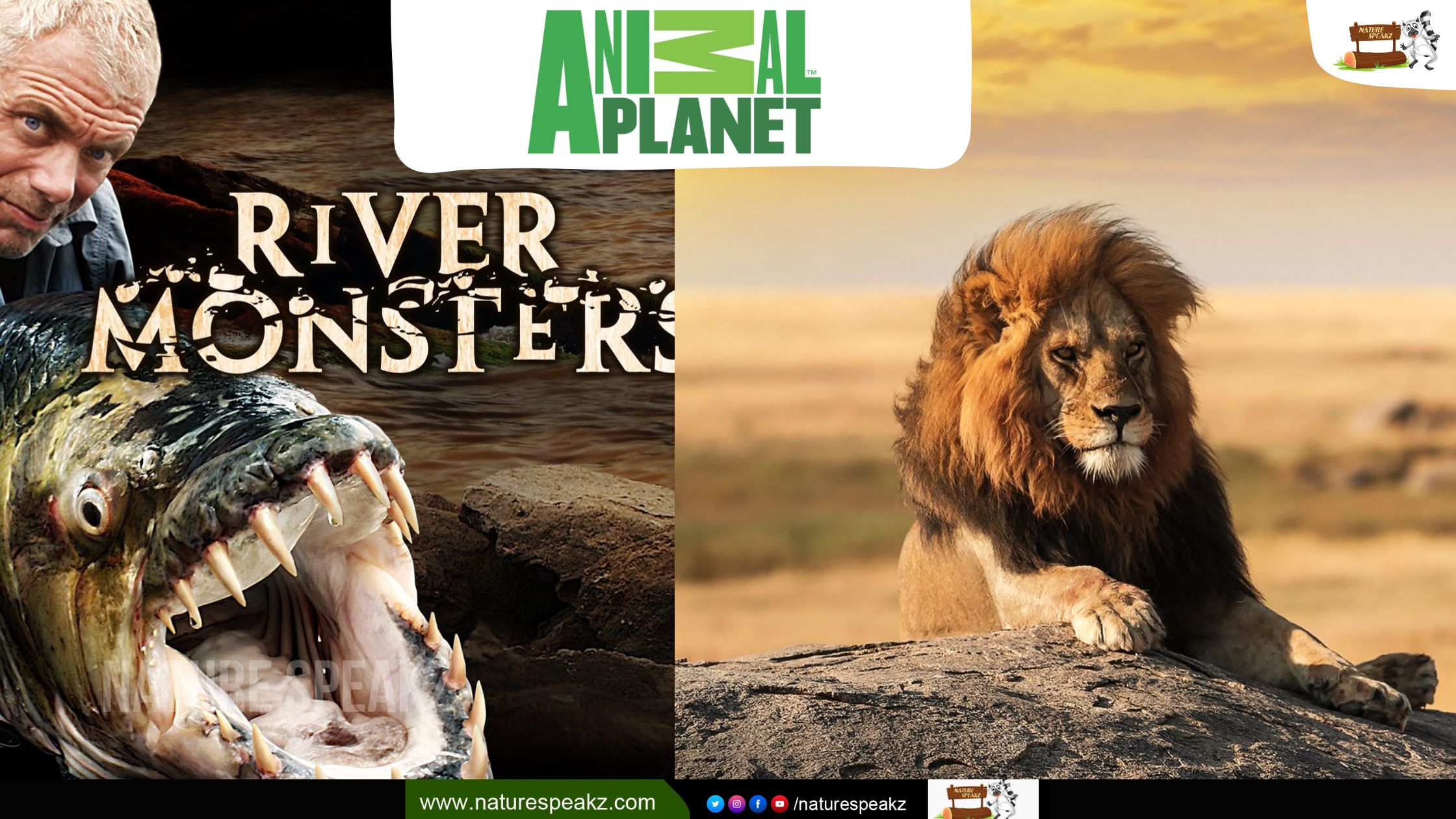 7 most popular shows of Animal Planet