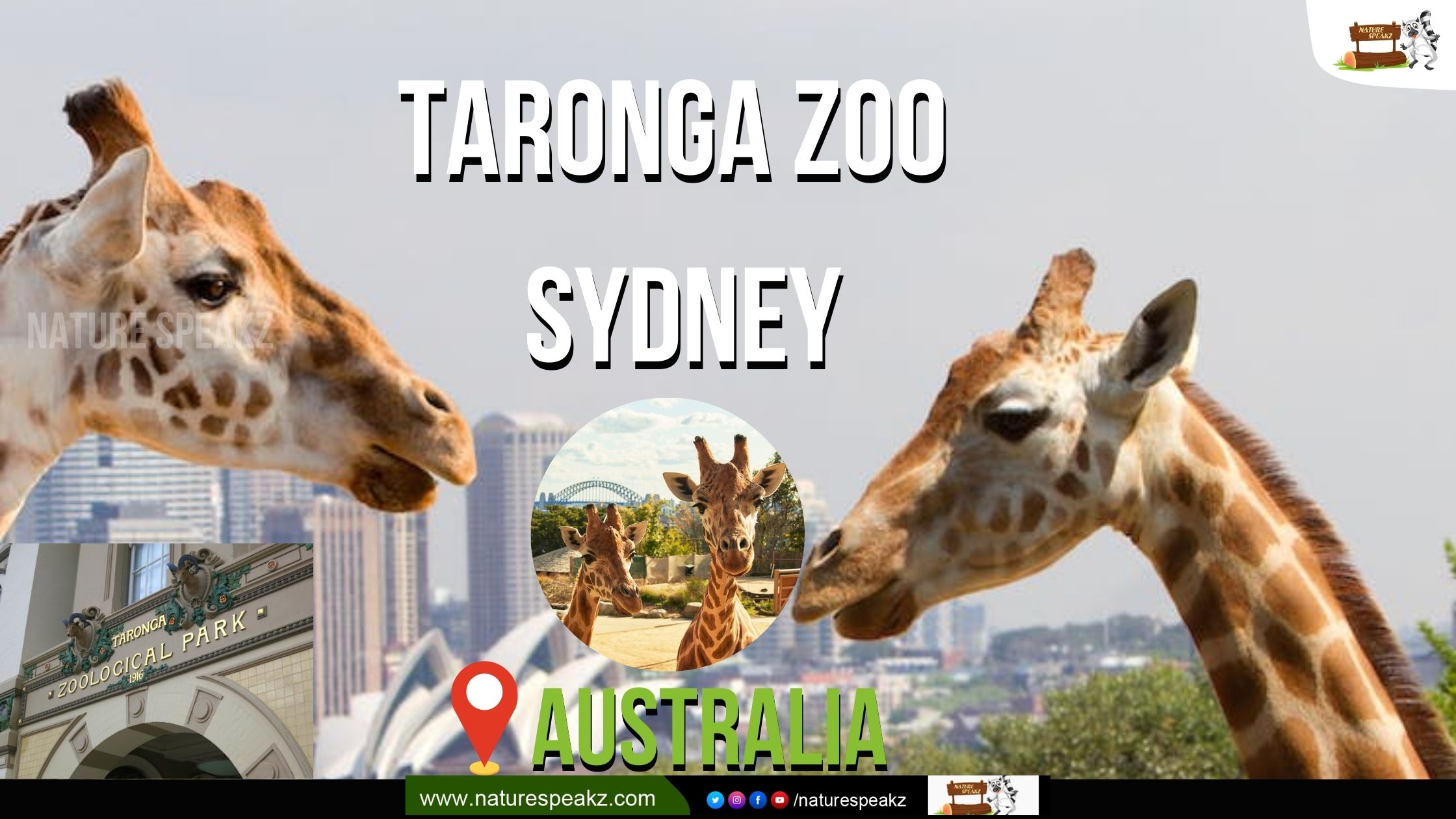Taronga Zoo - Australia