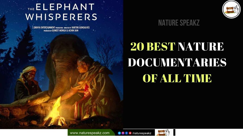 20 Best Nature Documentaries of All Time