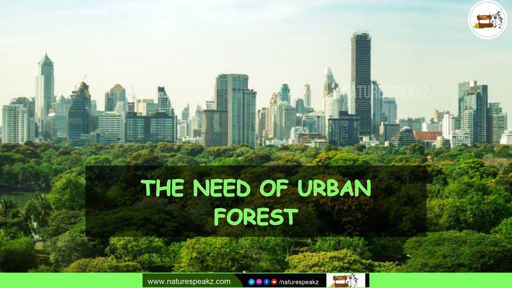 The Need of Urban Forest