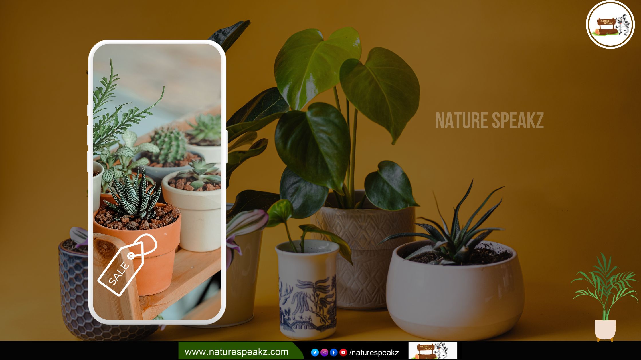 5 things to be careful about buying plants Online