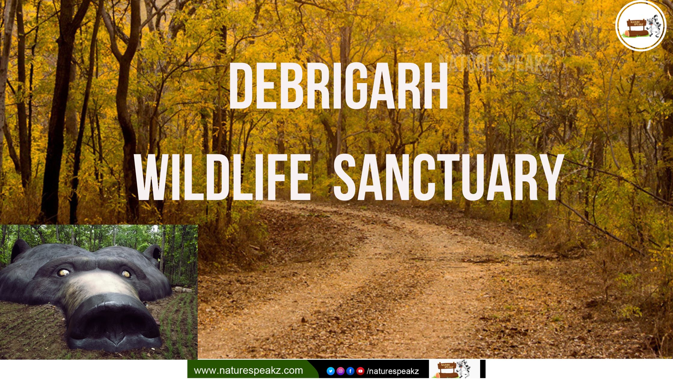 Debrigarh Wildlife Sanctuary