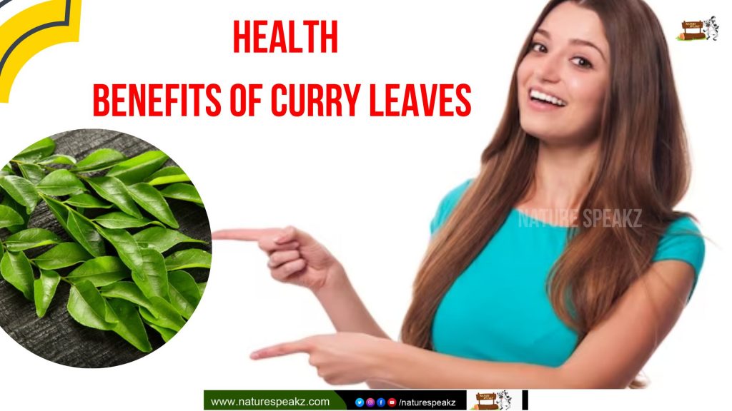 Health Benefits of Curry Leaves 
