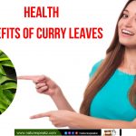 5 Medicinal Plants Easily Found in India