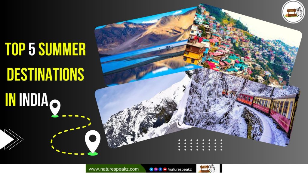 Top 5 summer destinations in India