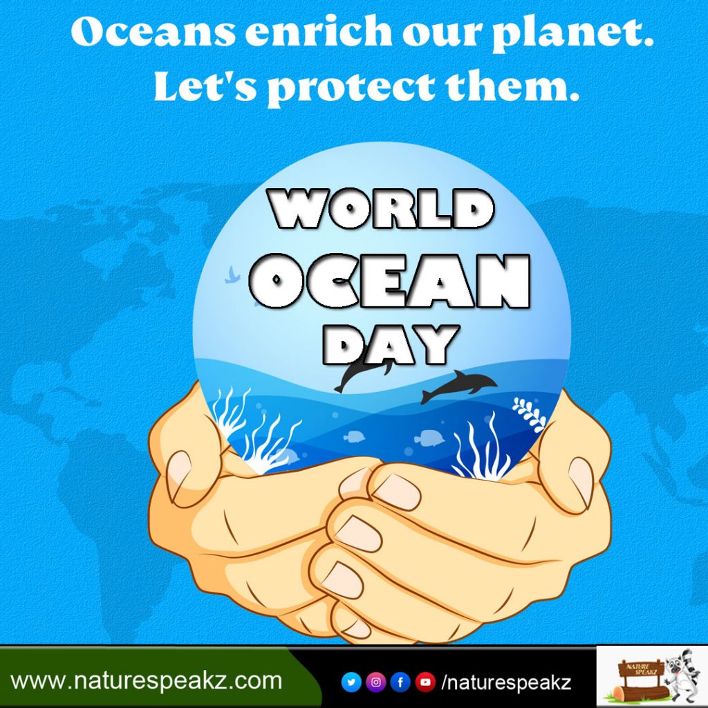 World Ocean Day Quotes