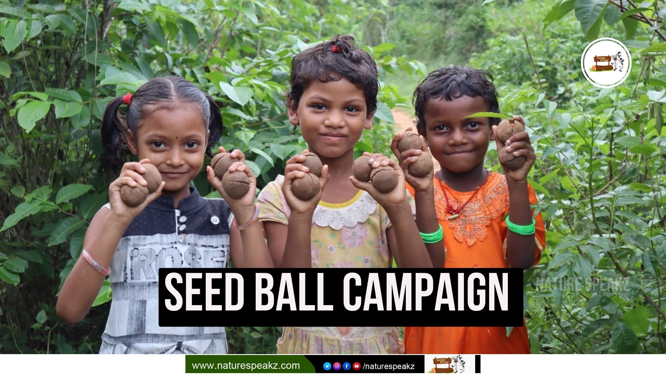 Seed Ball Campaign - Youth For Seva