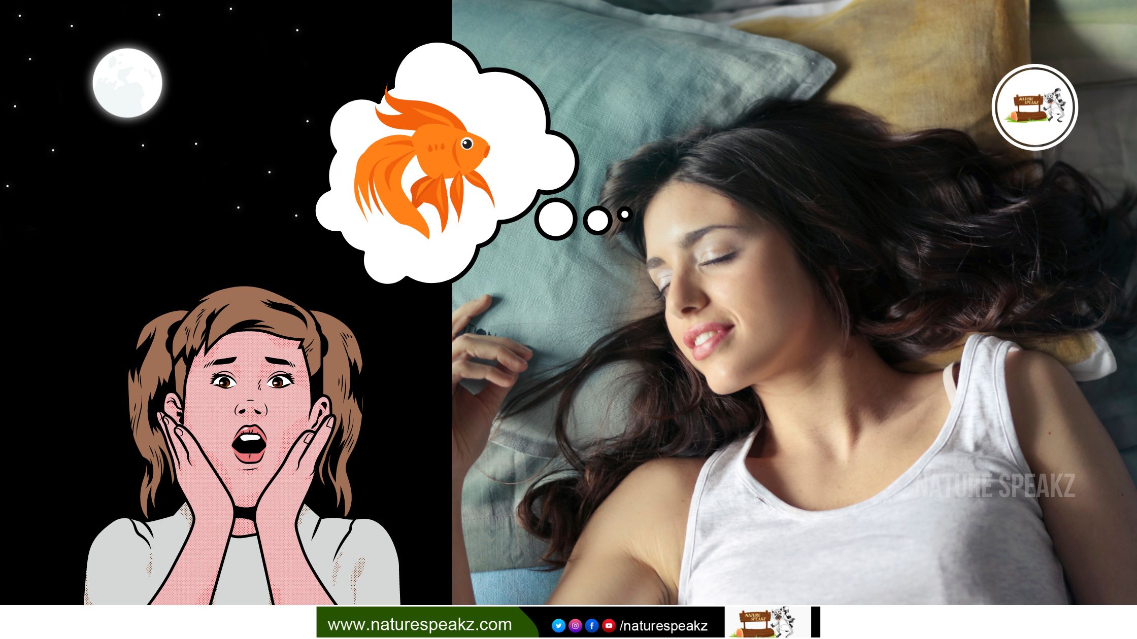 What Does It Mean if You Dream About Fish?