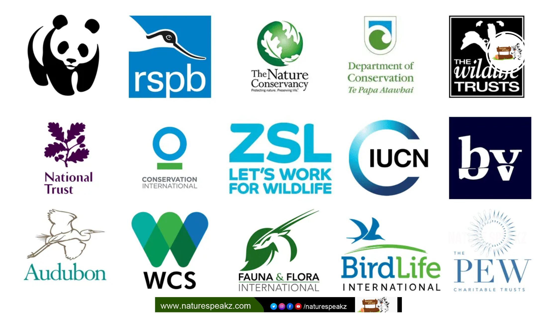 Wildlife Conservation Organizations