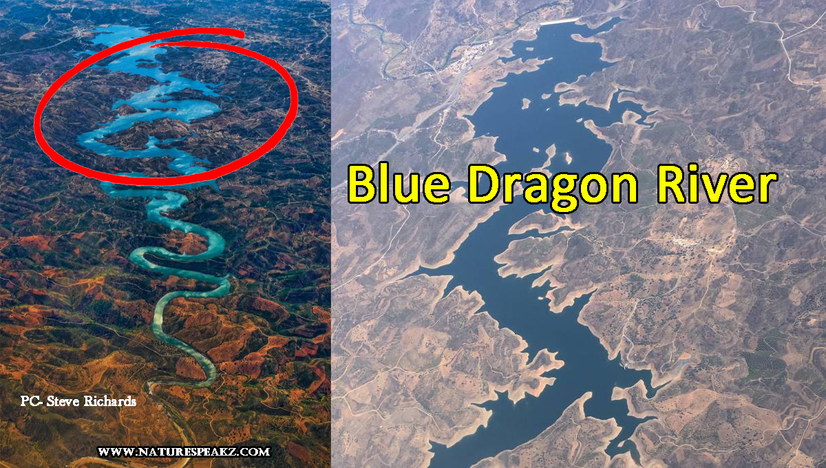 blue dragon river