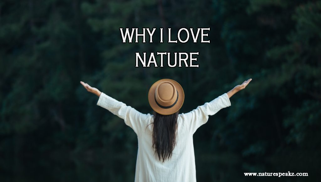 Why I Love Nature