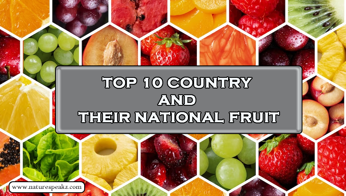 Top 10 Country and Their National Fruit