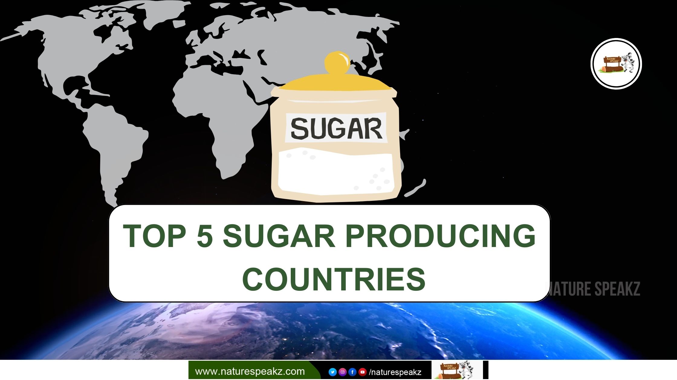 Top 5 Sugar Producing Countries