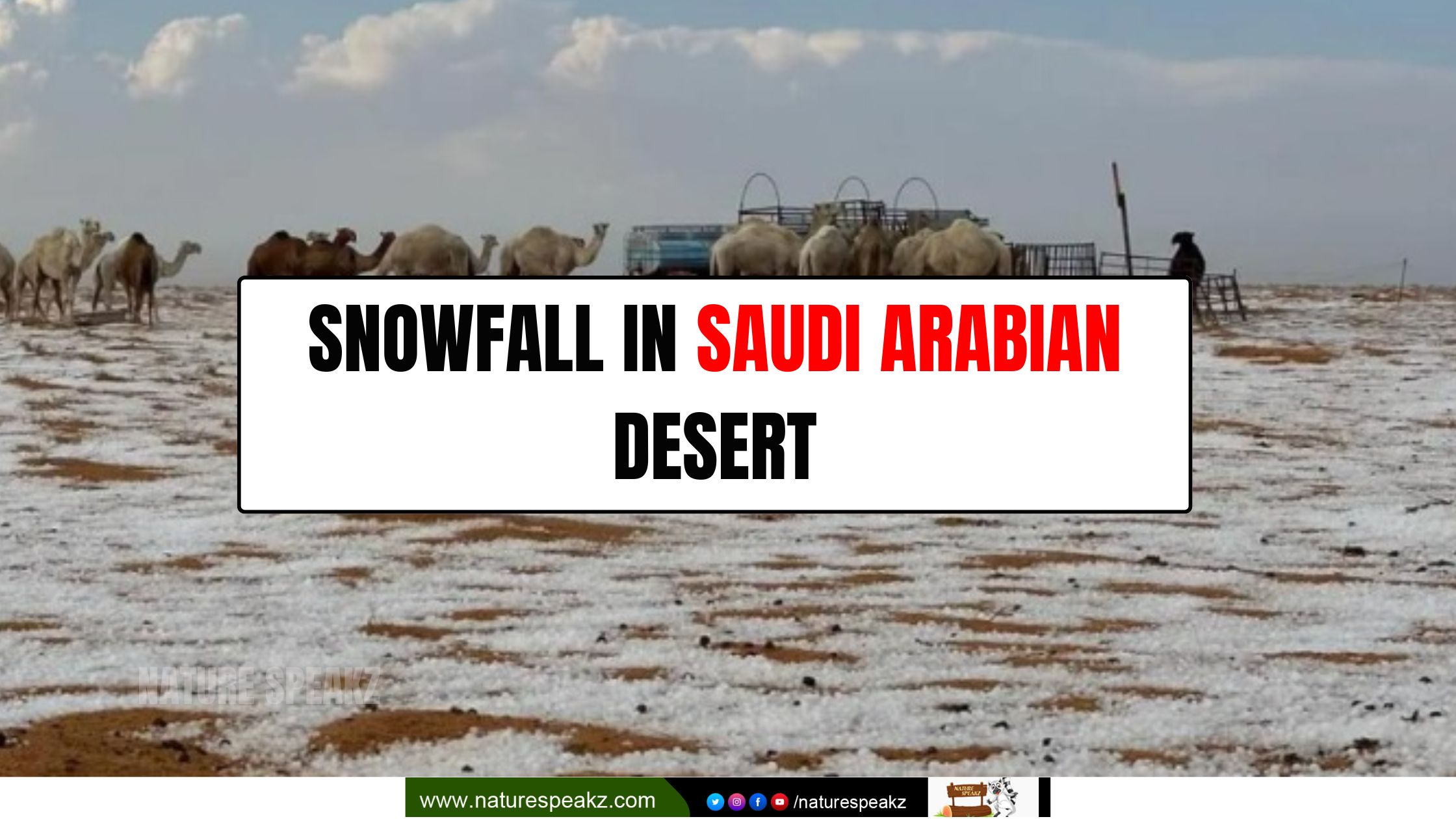 Snowfall in Saudi Arabian Desert