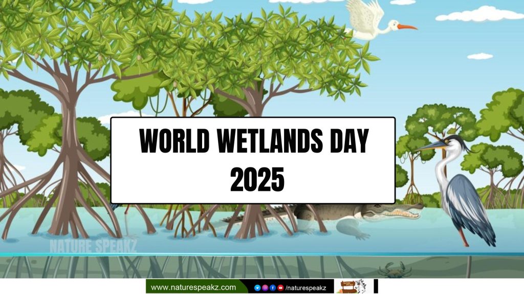 World Wetlands Day 2025