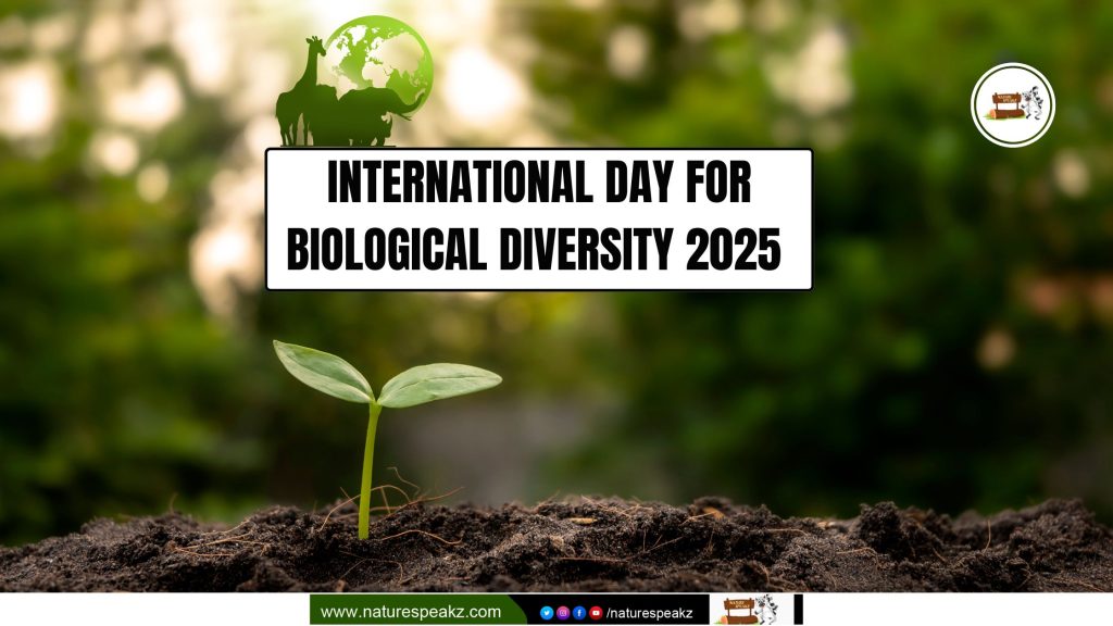 International Day for Biological Diversity 2025