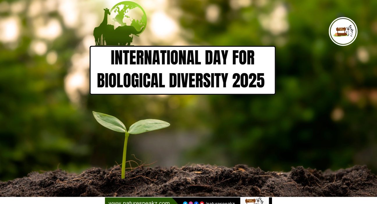 International Day for Biological Diversity 2025