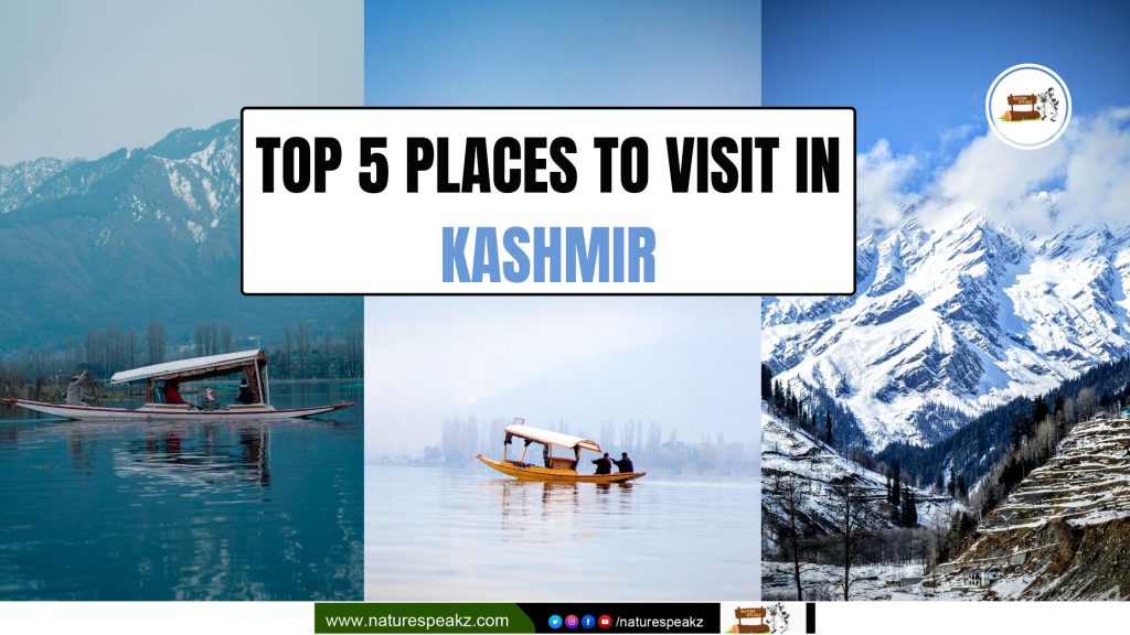 Top 5 Places to Visit in Kashmir