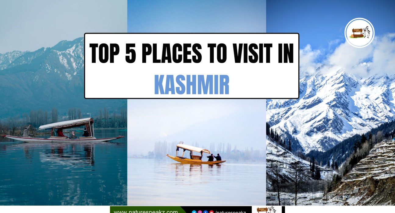 Top 5 Places to Visit in Kashmir