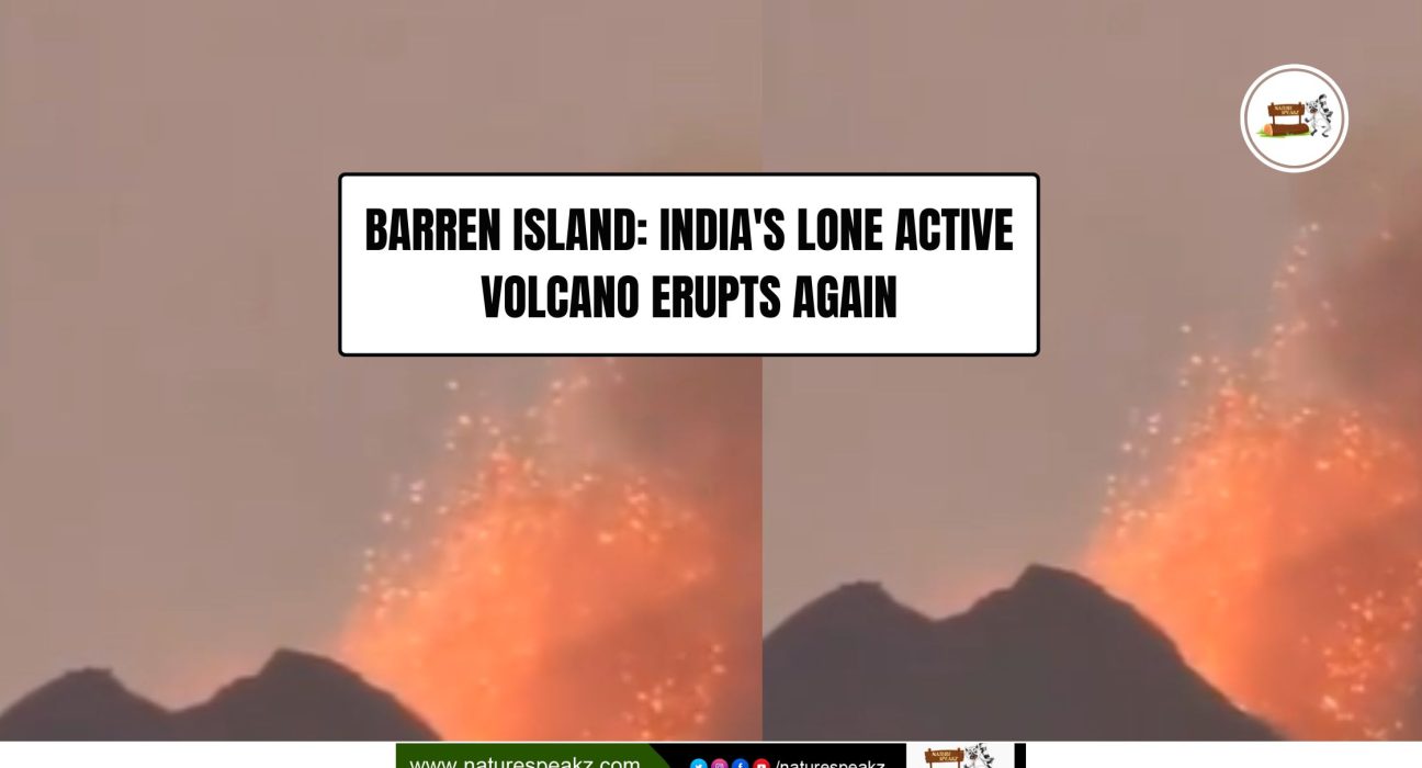 Barren Island: India's Lone Active Volcano Erupts Again
